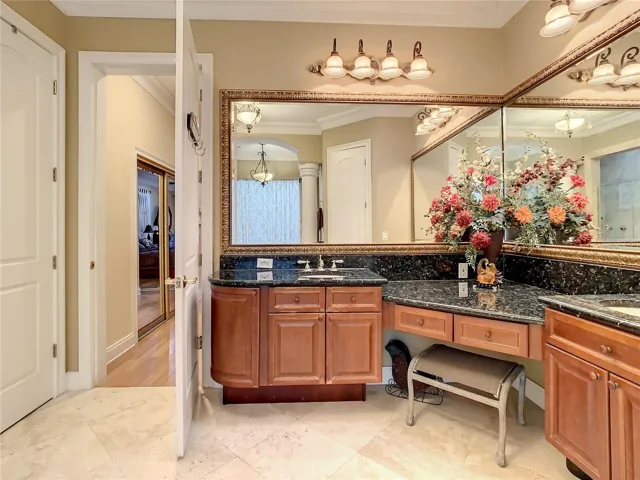 10549 Cory Lake Dr, ground floor owner's suite bath