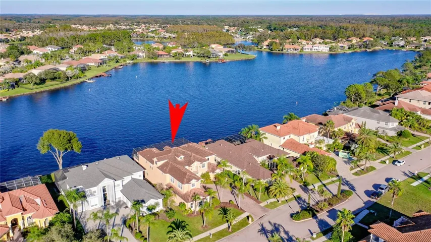 10549 Cory Lake Dr aerial view