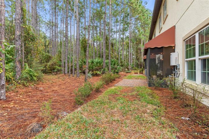 Side yard view