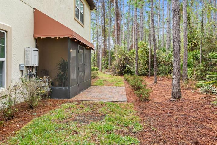 Side yard view