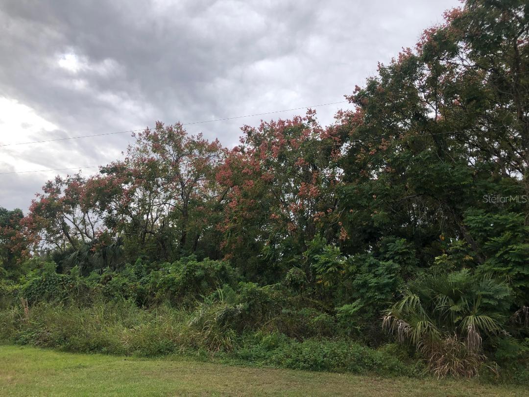 Altamonte Springs, Florida 32714, 0 , 0 ,0,Land,For Sale,VIRGINIA,0,O6157814