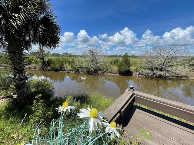 View from the backyard of creek and the preserve
