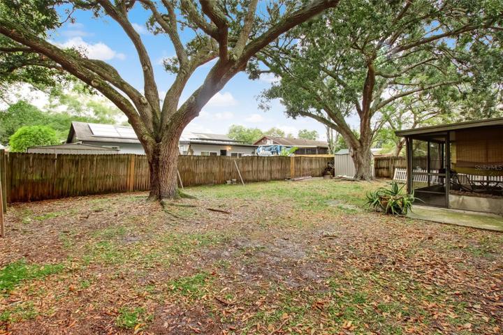 Back Yard