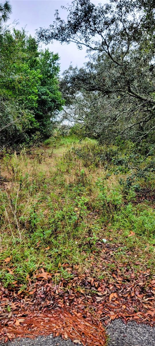 Unpaved pass-through. Plans to be a street.