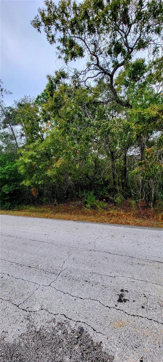 East side of the Property