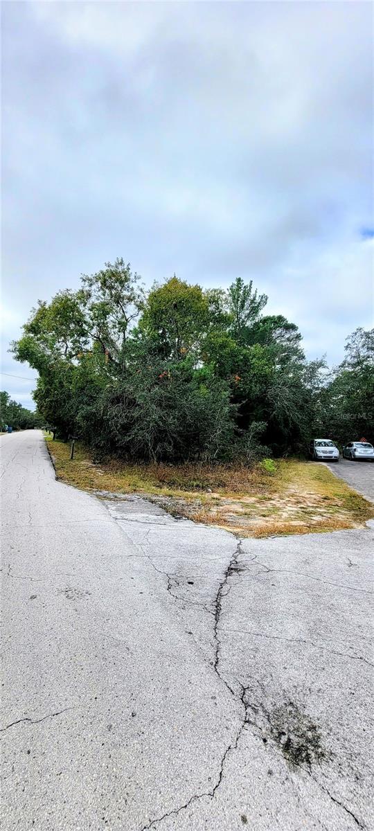 North East Side of the Property
