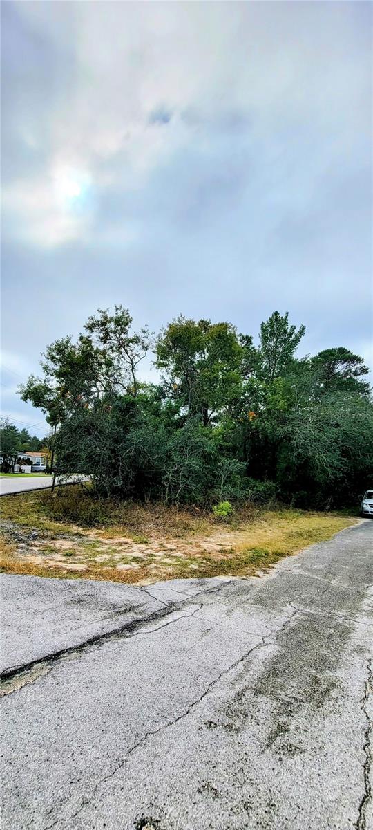 Front side of the Property