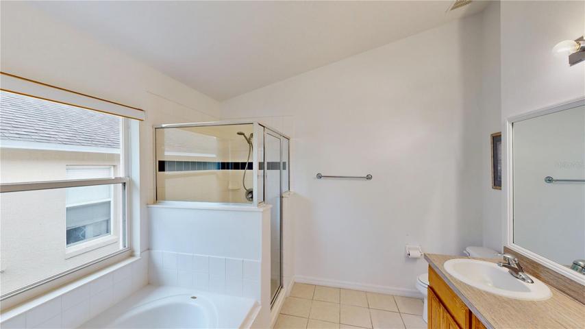 Primary Bath Tub