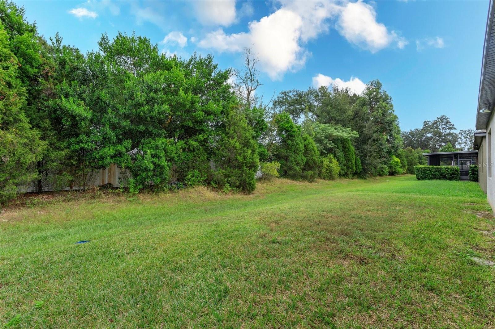 Backyard