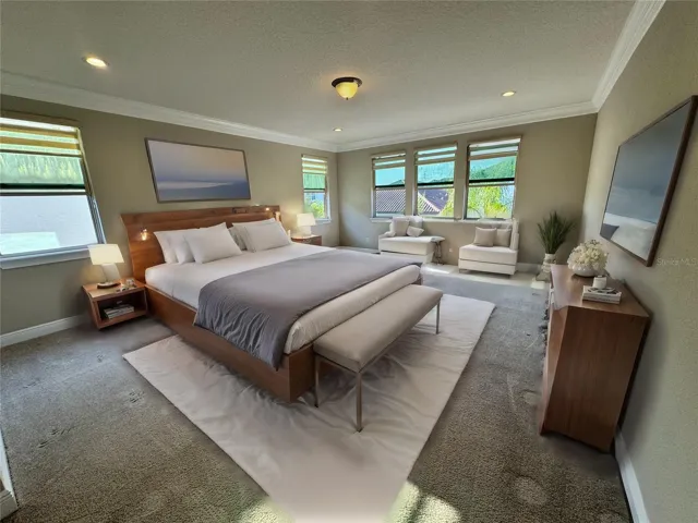 Owner's Suit Virtual