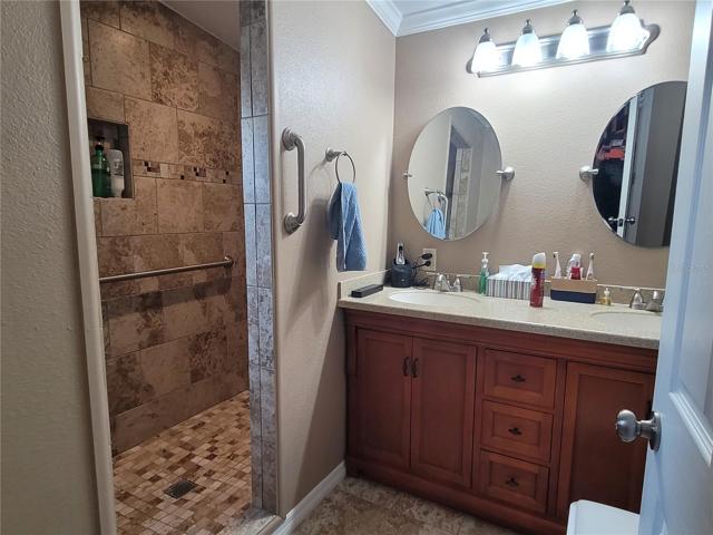 Primary bathroom with the shower.