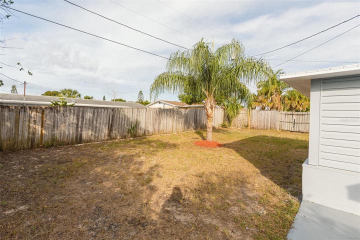 Back Yard