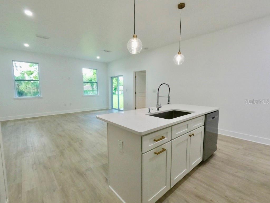 Kitchen Living area