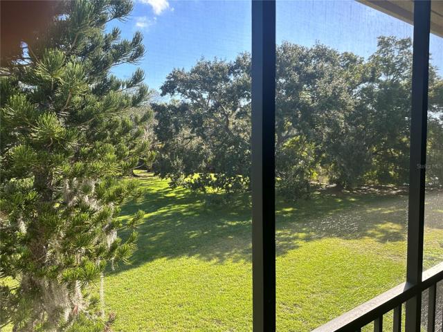 View from Porch