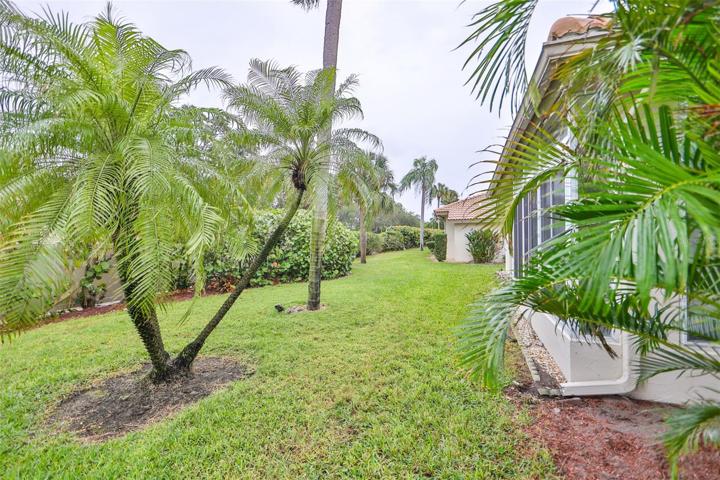Back yard has mature landscaping