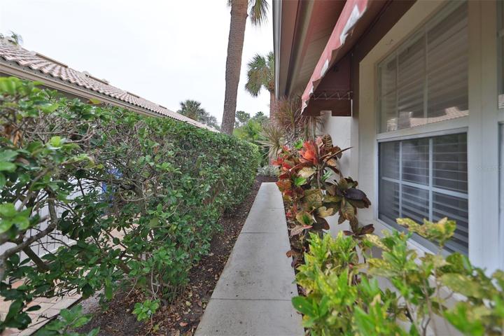 Privacy hedge to your front door