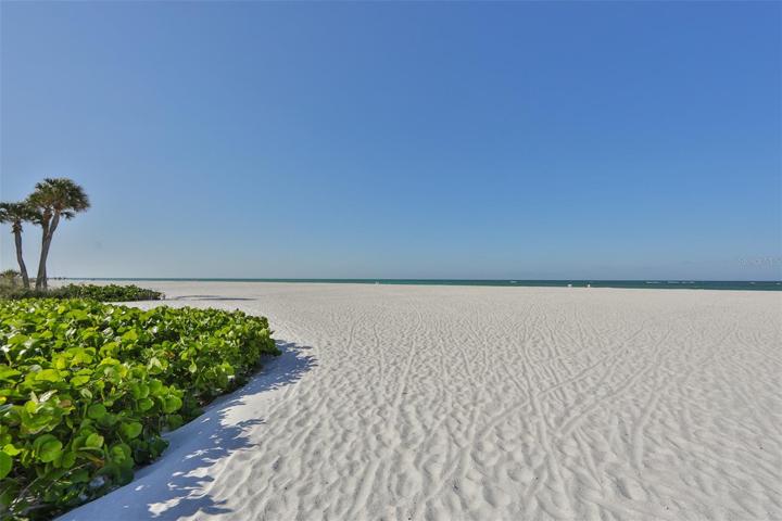 our beach looks like your in the Bahamas