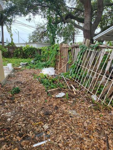 Backyard (Side)