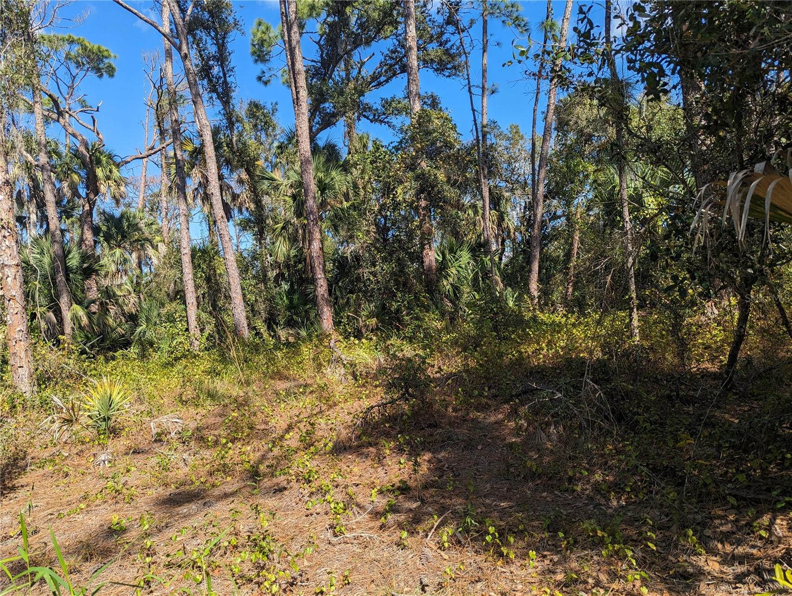 North Port, Florida 34286, 0 , 0 ,0,Land,For Sale,APRICOLA,0,T3486908