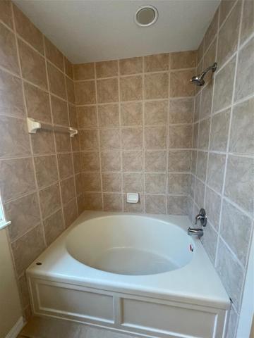 Master Bath Tub & Shower