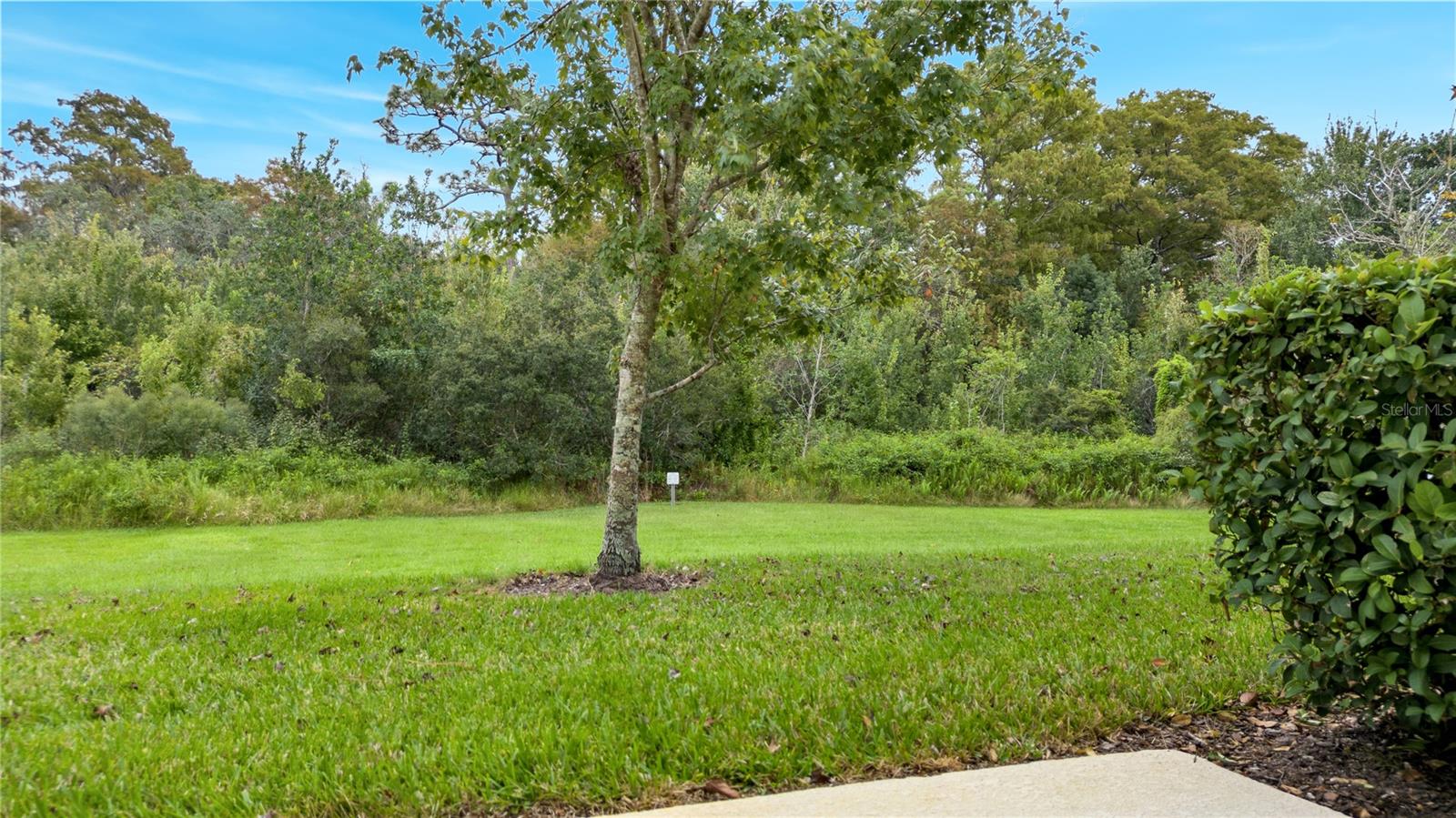 Backyard - Rear of the home is backed by Natural Preserved Conservations