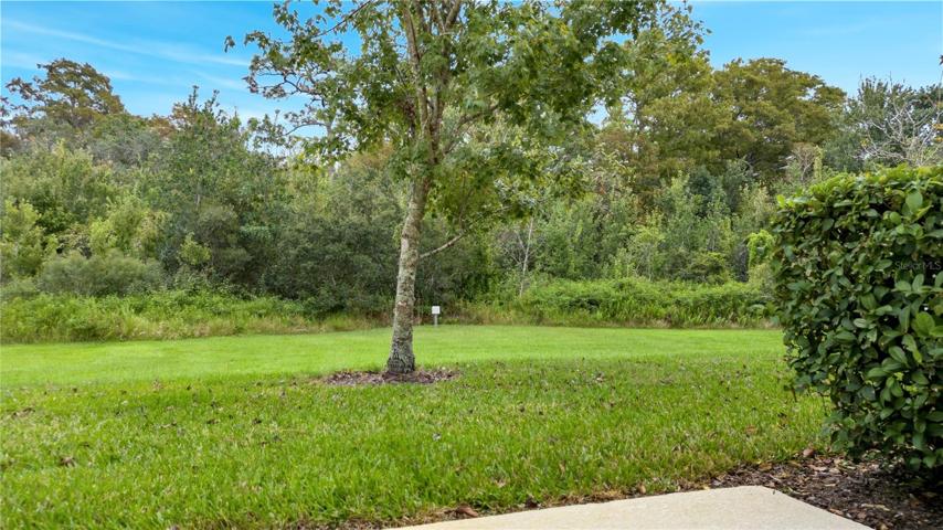 Backyard - Rear of the home is backed by Natural Preserved Conservations