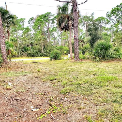 view from rear of 2448 Maclachlan St