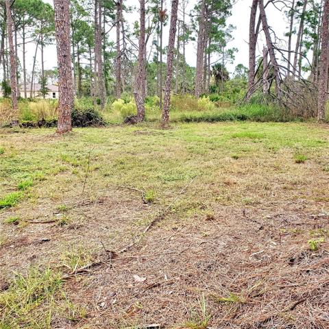 lot is partially cleared