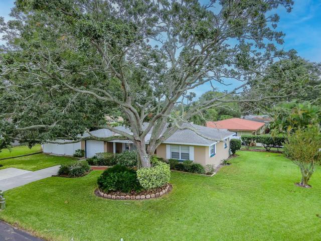 Beautiful Corner Lot!