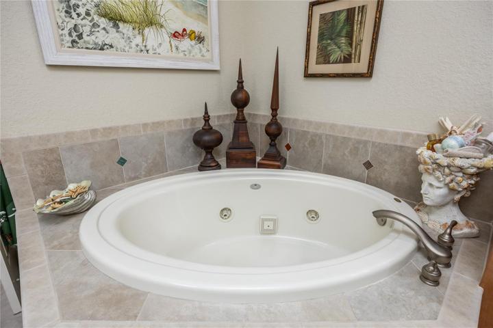 Master Bath Jacuzzi Tub!
