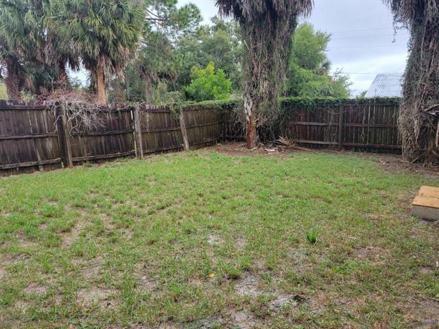 Back yard