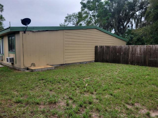 Back yard