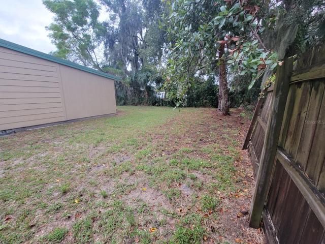 Back yard