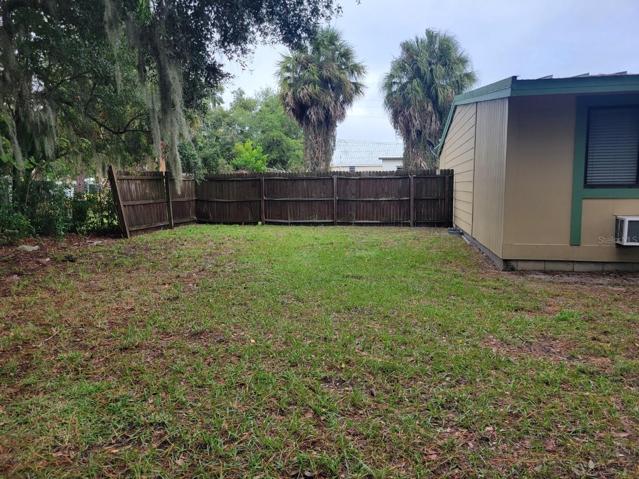 Back yard