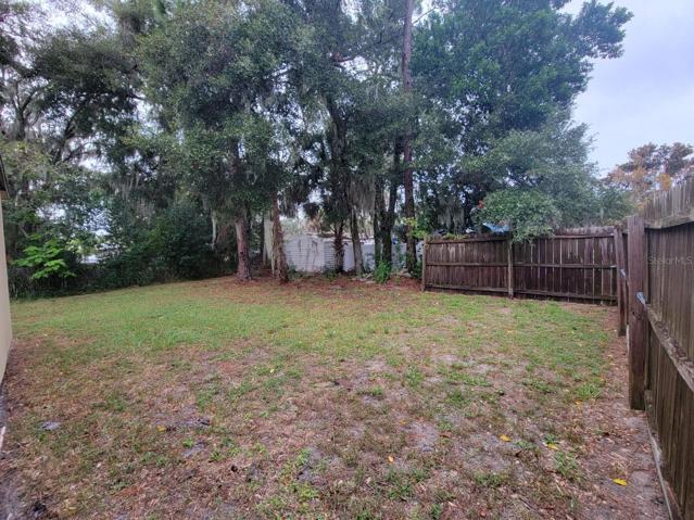 Back yard