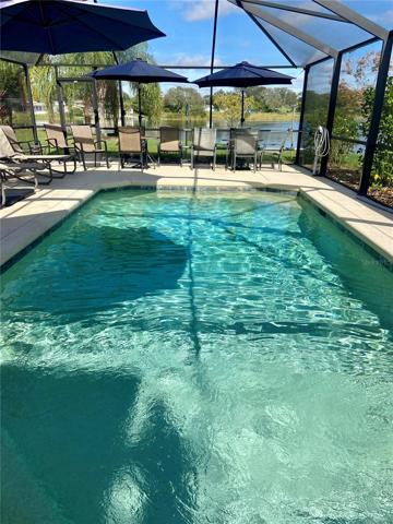 Screened in Pool