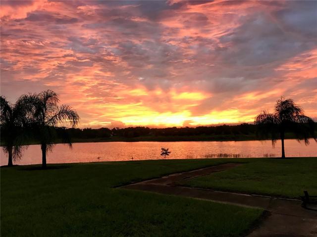 Sunset Surprise