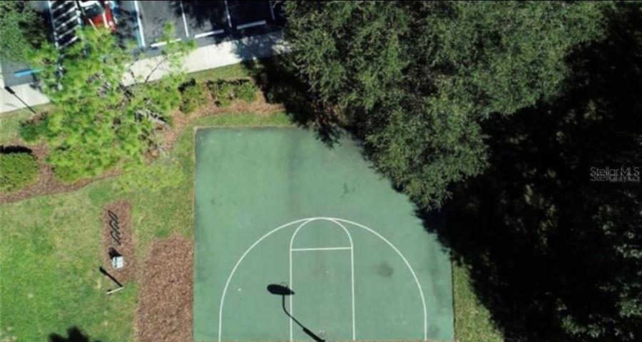 Basketball Court