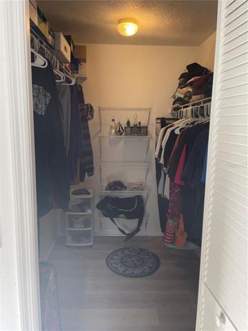 Bedroom #3 Closet