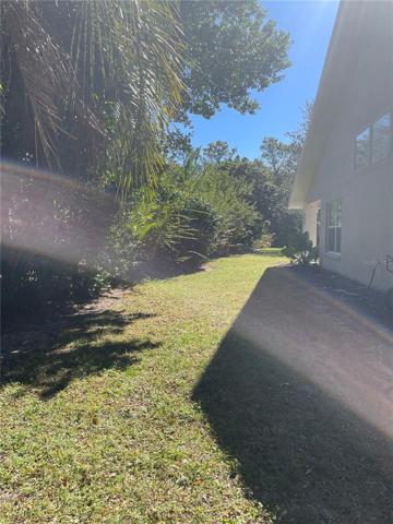 Side Yard