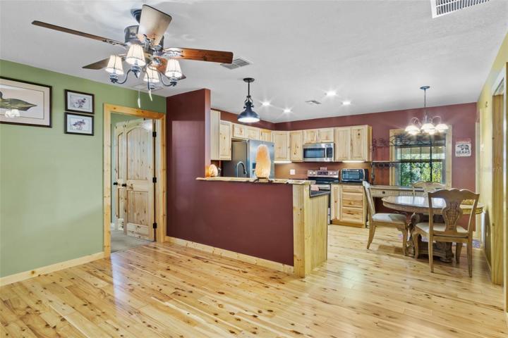 Living Room/Kitchen Area