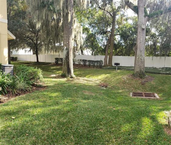 Unit Yard/Common Area