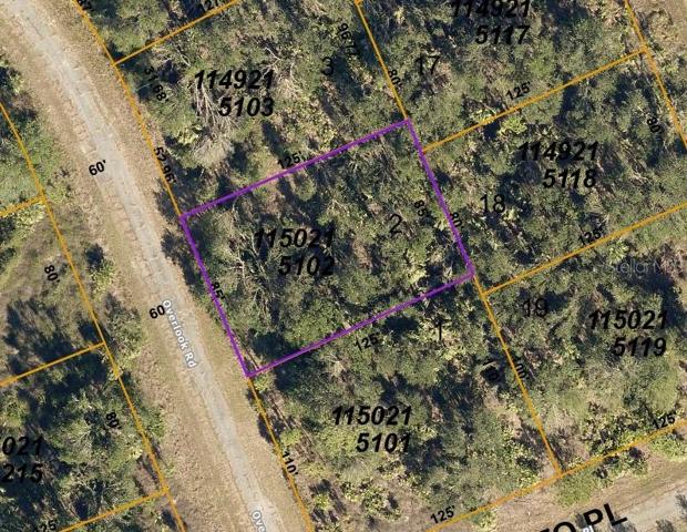 County map of lot