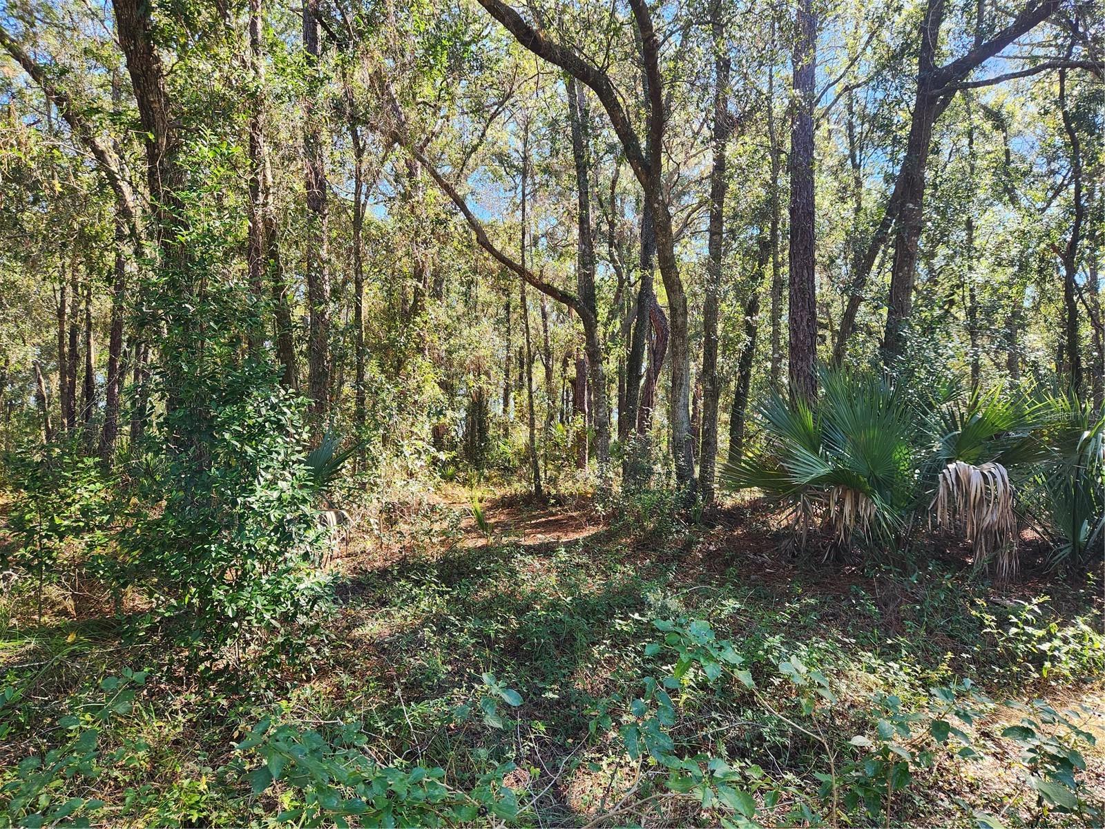 Longwood, Florida 32779, 0 , 0 ,0,Land,For Sale,MARKHAM WOODS,0,O6158813