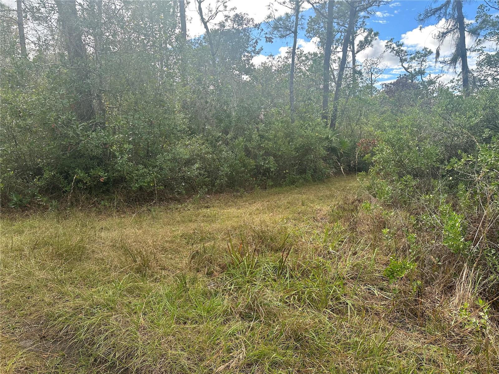 Christmas, Florida 32709, 0 , 0 ,0,Land,For Sale,GREENBRIAR,0,U8221832
