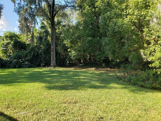 Spacious back yard