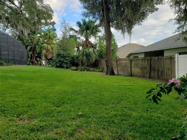 Landscaped back yard