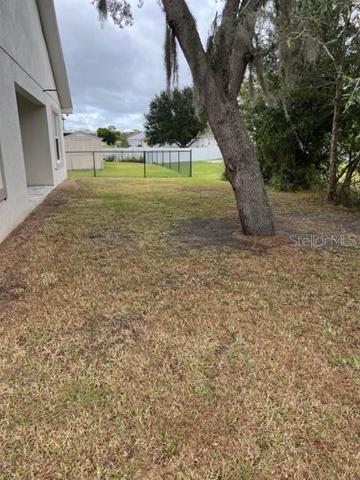 Back yard from East angle