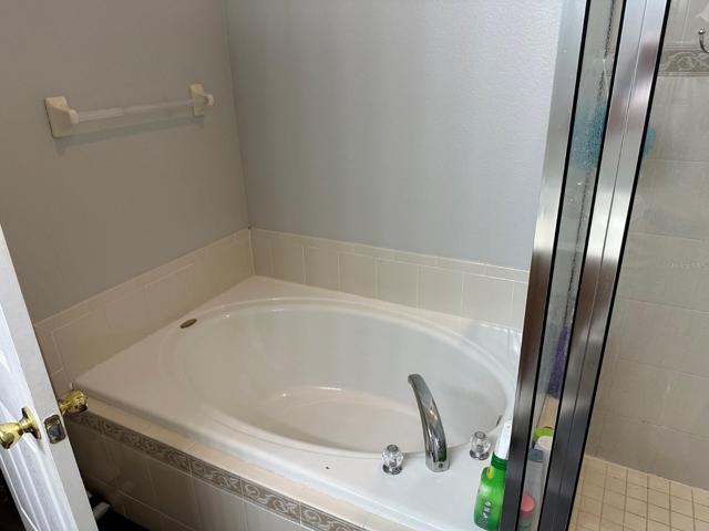 Master Tub