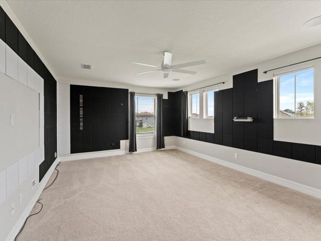 Media Room w/ Sound Deadening Panels